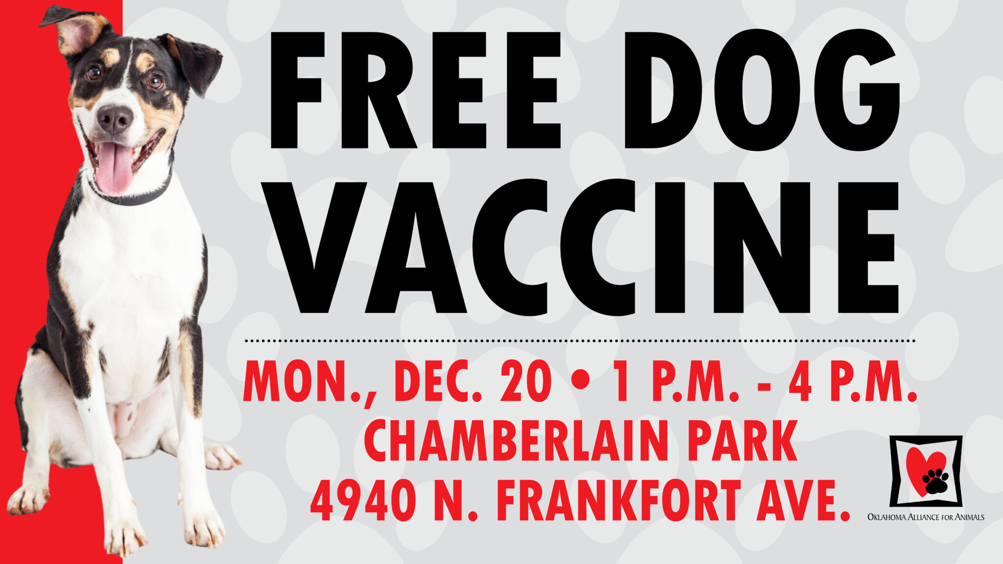 Uncategorized Archives Oklahoma Animal Alliance