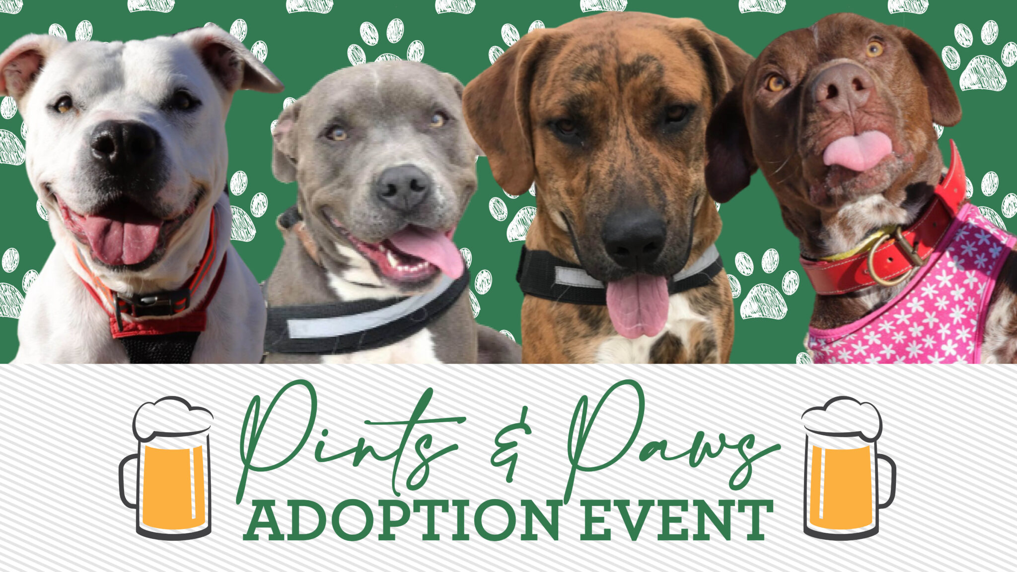 Pints & Paws Raffle Oklahoma Animal Alliance